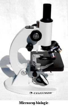 pierce Alternative Answer the phone Informatii generale despre microscoape